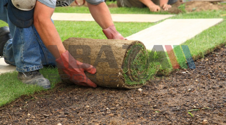 أفضل أنواع النجيل الطبيعي واسعارها