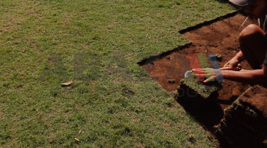 طرق العناية بالعشب الطبيعي للملاعب