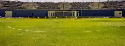أرضيات نجيل طبيعى